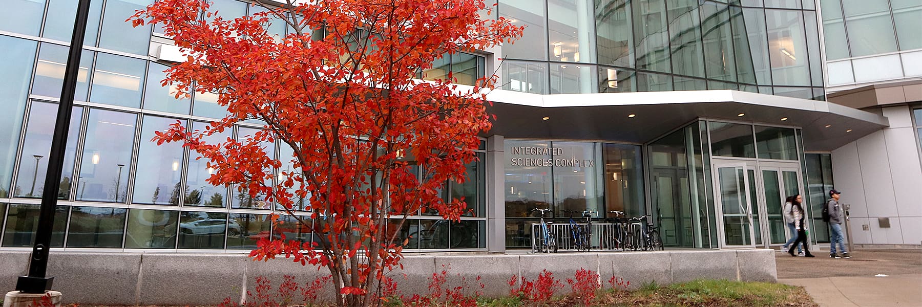 fall leaves in front of ISC.